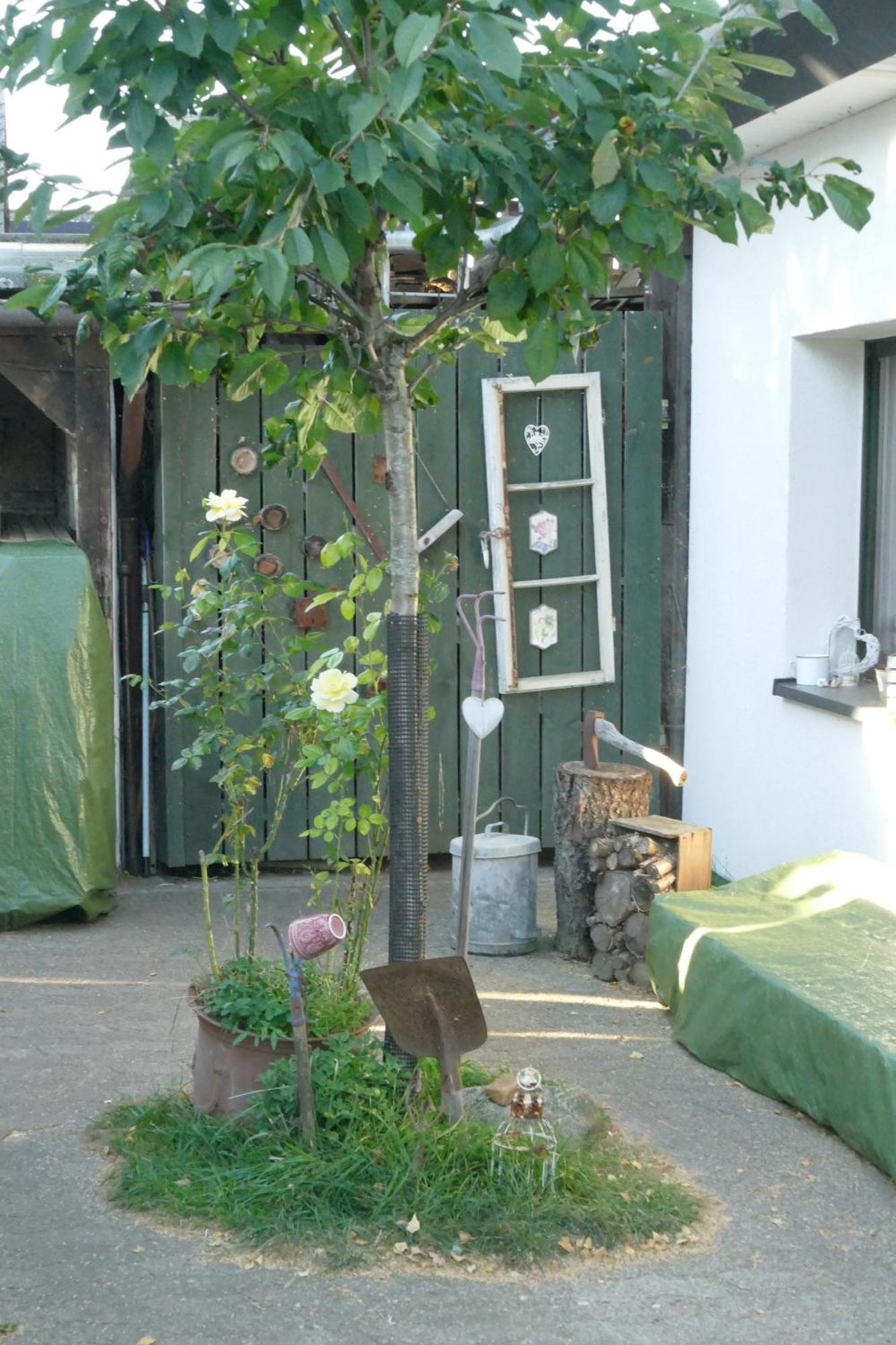 Ferienhaus Mit Minibauernhof Munster im Heidekreis Buitenkant foto